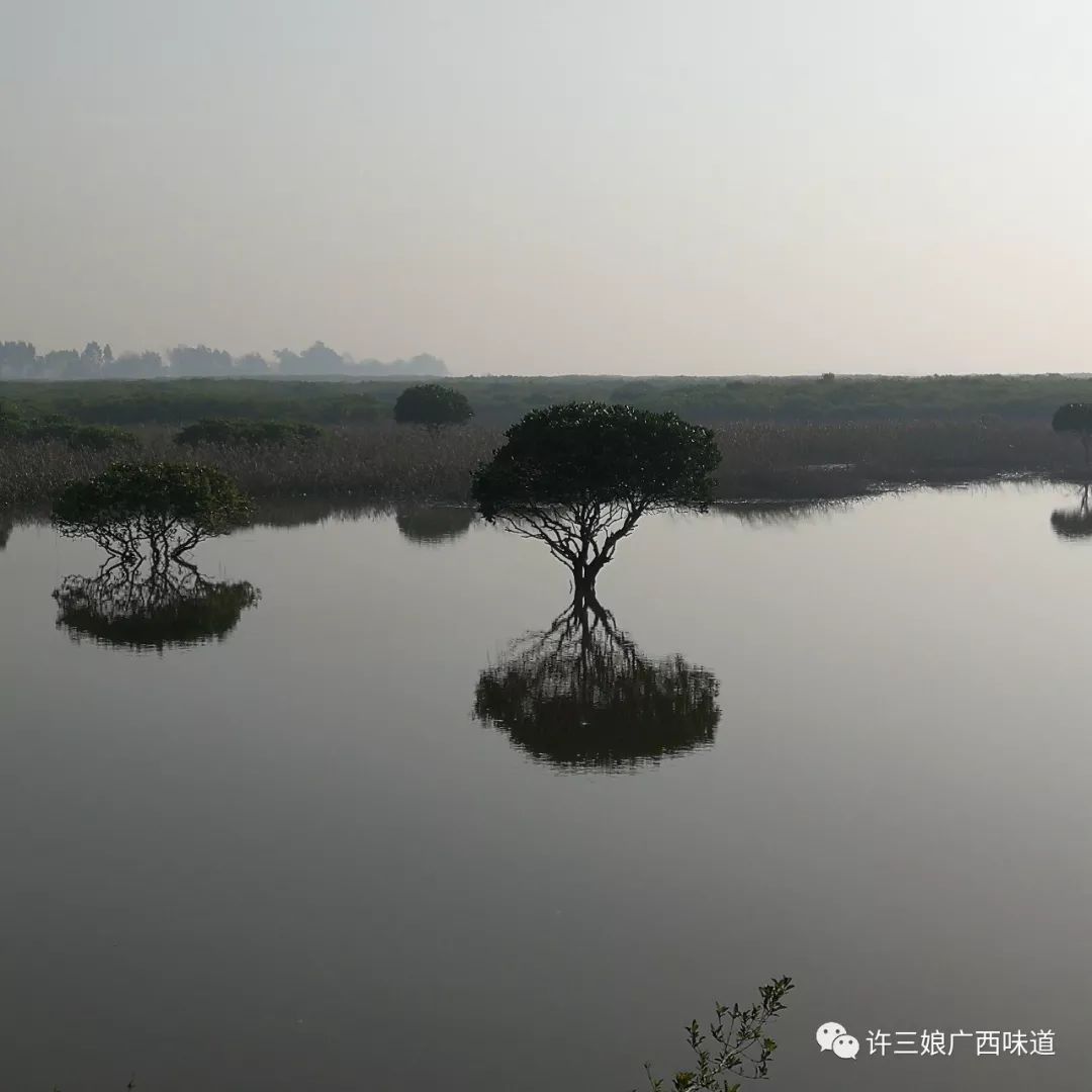 致富栏目在哪个电视台_致富栏目六码_致富经栏目