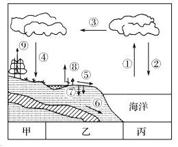 类型 环节名称 甲:陆地内循环④降水⑧蒸发⑨蒸腾 乙:海陆间循环