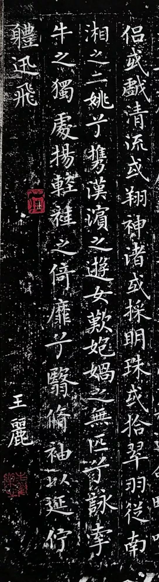 知道书画 王丽 临《洛神赋十三行》