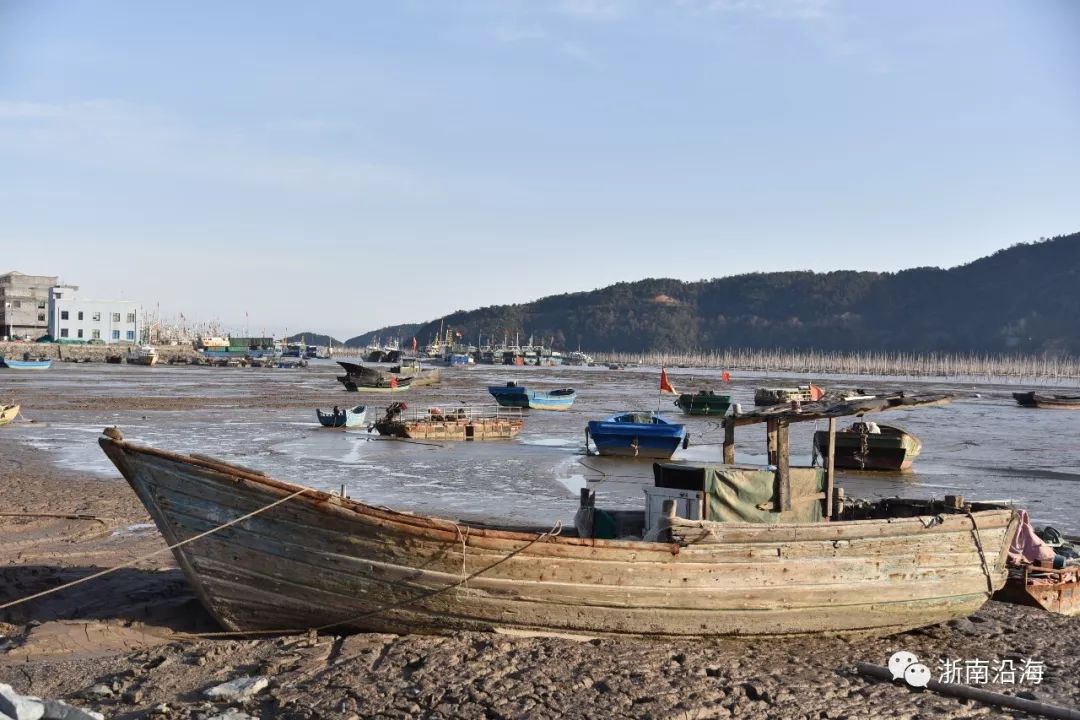 苍南沿海这个渔乡独特 建筑风格世界无!