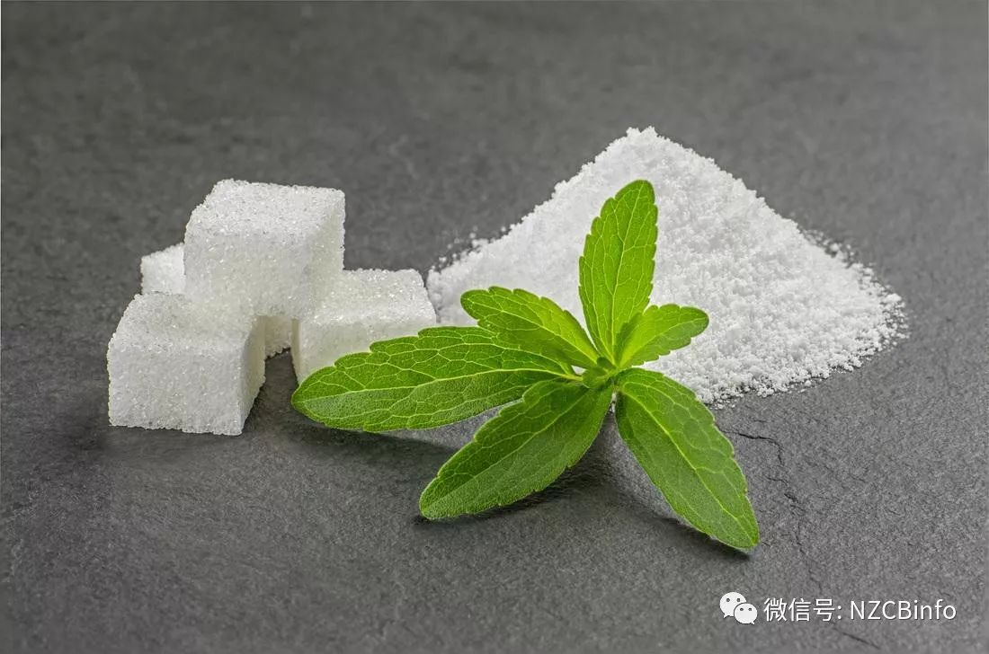 新西兰百科 | 新西兰无糖或低糖饮料中的甜叶菊糖 stevia sugar