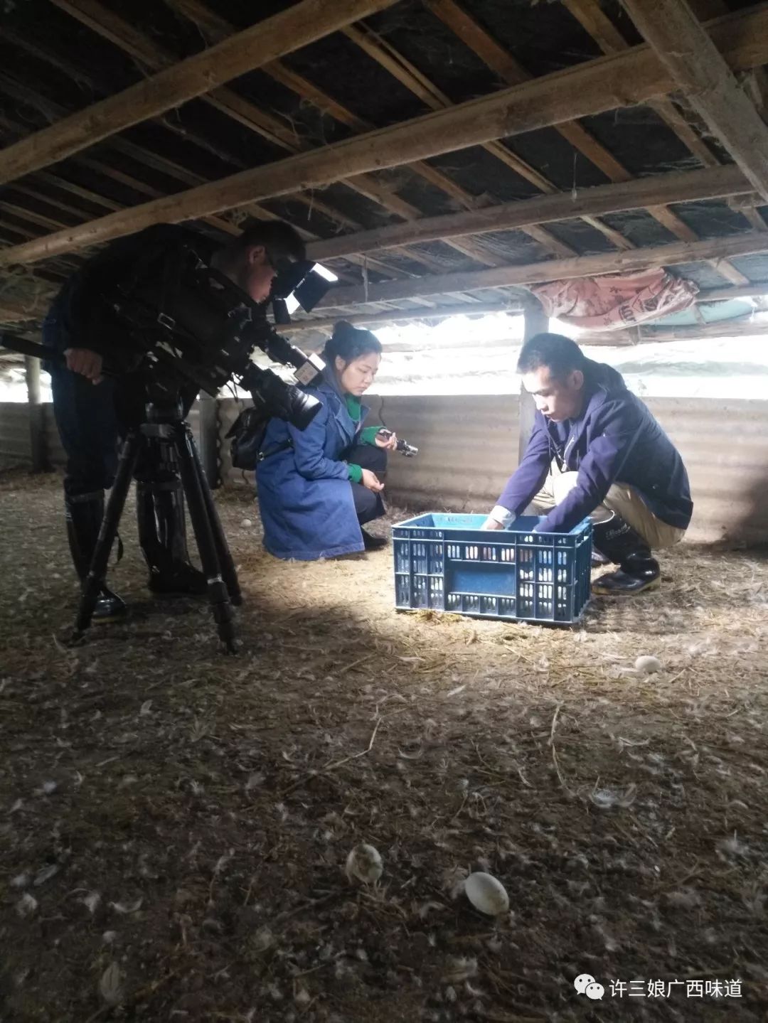 致富经栏目_致富栏目在哪个电视台_致富栏目六码