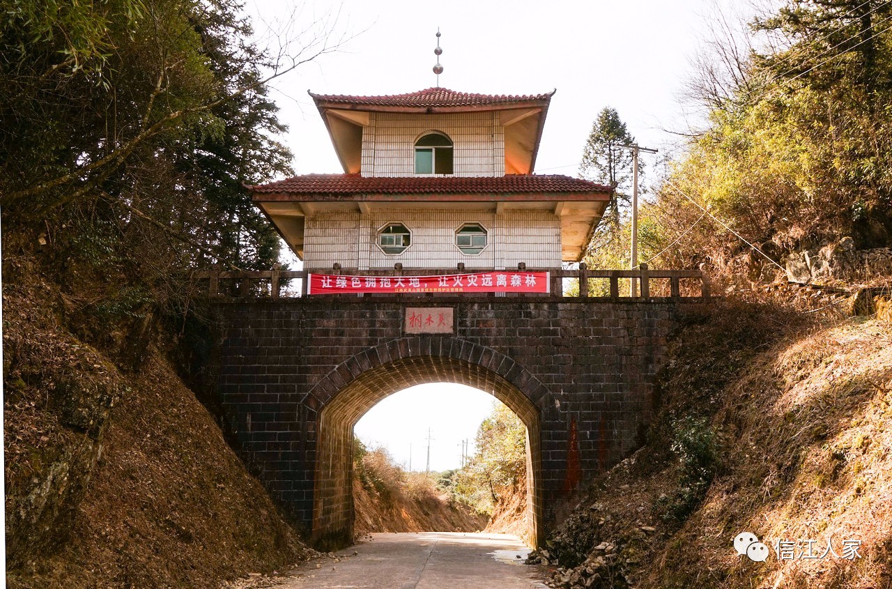 这是铅山县武夷山镇通往福建武夷山市的另一个关口—桐木关