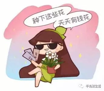 谈钱伤感情?姑娘,请你一定要体面的谈钱