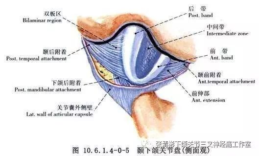 浅析可复性与不可复性颞下颌关节盘移位