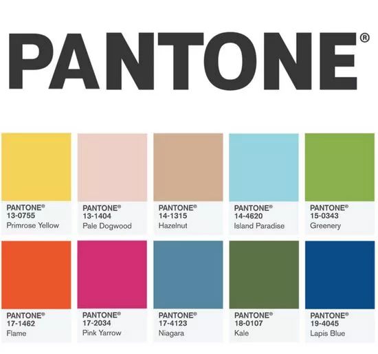 它真正的名字是"pantone,是美国一家专门开发和研究色彩的权威机构