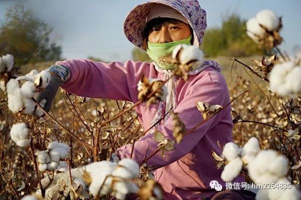 电视剧花开时节在哈密拍摄即将杀青啦