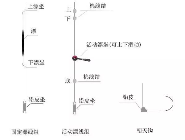 达奇线组怎么搭_怎么画动漫人物