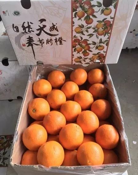 "自然天成 奉节脐橙"甜蜜来袭,看着都流口水