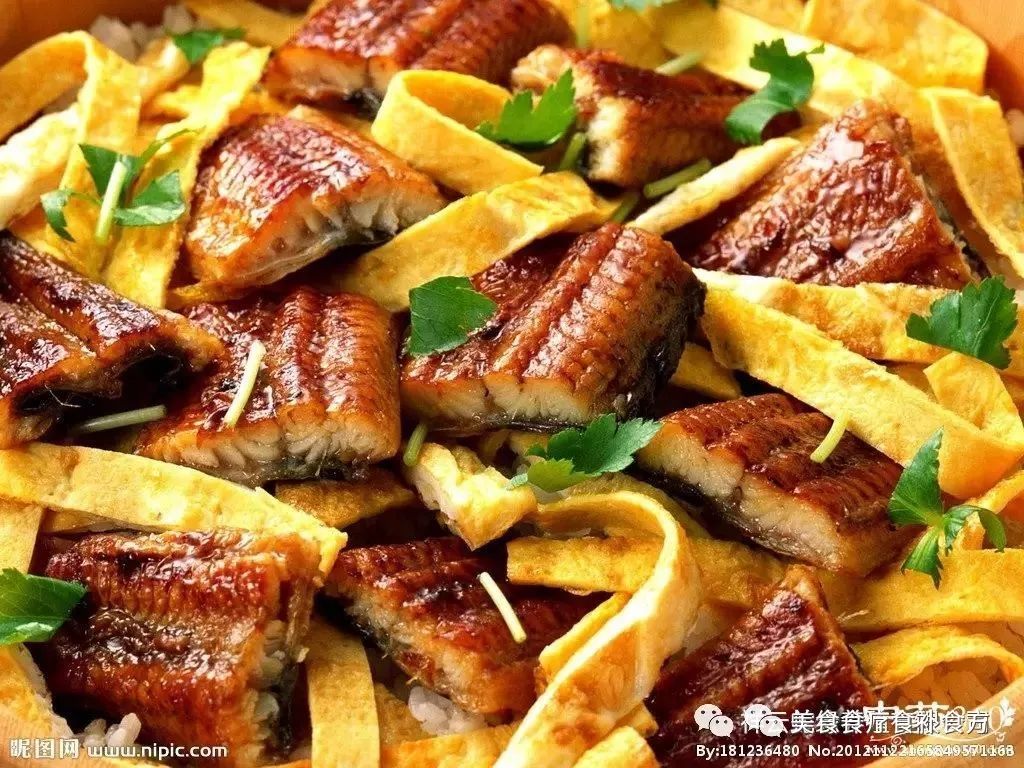 酱烧蛇肉摄影图__传统美食_餐饮美食_摄影图库_昵图网nipic.com