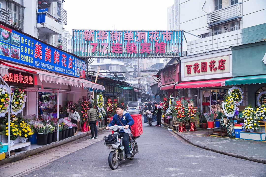 新华街单洞花市欢迎你!