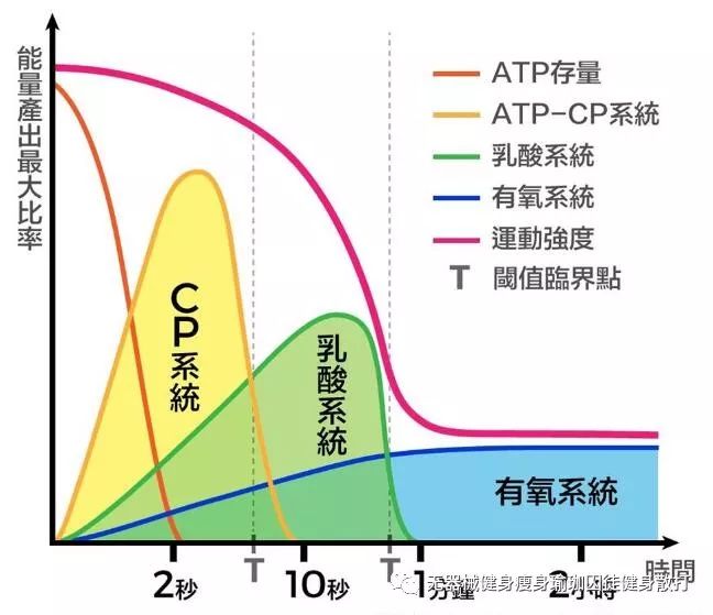 运动时的三种能量系统:磷化物(atp/cp)系统,乳酸(糖酵解)