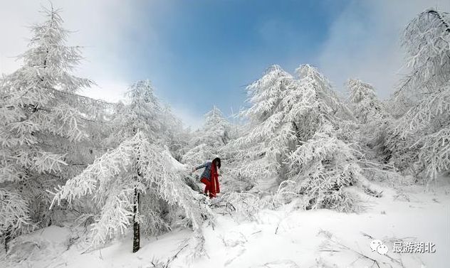 冬去海南,夏来利川?难道银装素裹的齐岳山不值得你来场约会么?