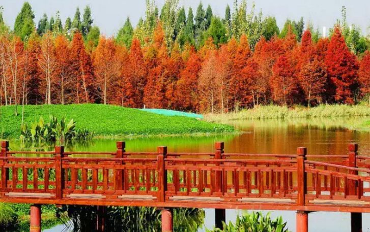 财经 正文  碧鸡山森林公园,筇竹寺—郊野公园 青山公园—西白沙河