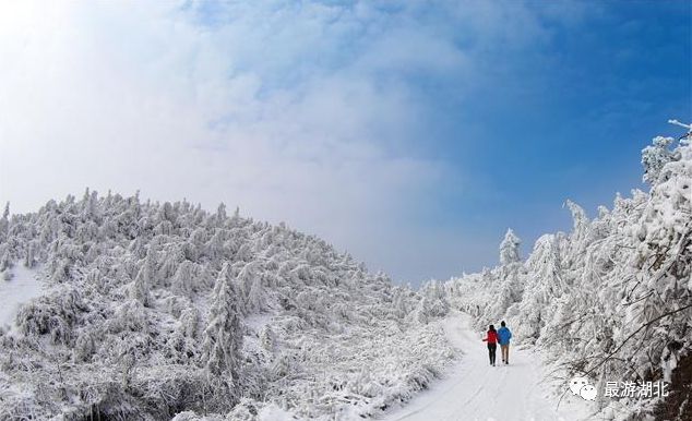 冬去海南,夏来利川?难道银装素裹的齐岳山不值得你来场约会么?