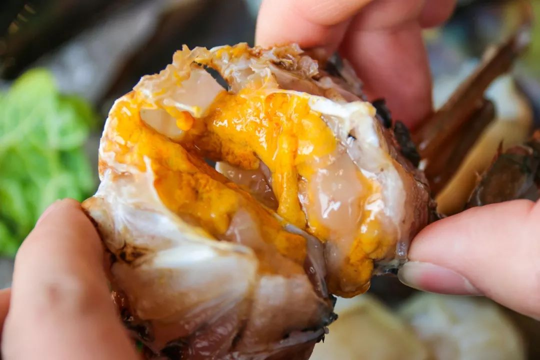螃蟹天鹅蛋同样也是又肥又大,肉质非常饱满,叫这个名字是因为它的