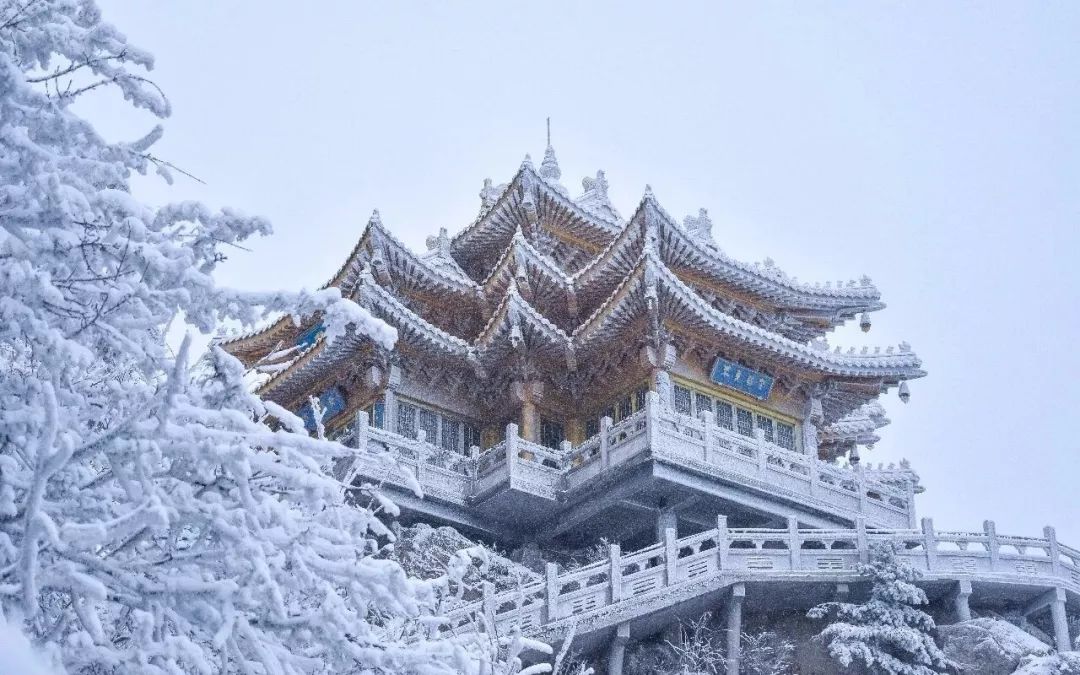 6℃!大雪天,洛阳高速封闭 !客车停发!航班取消!还有.