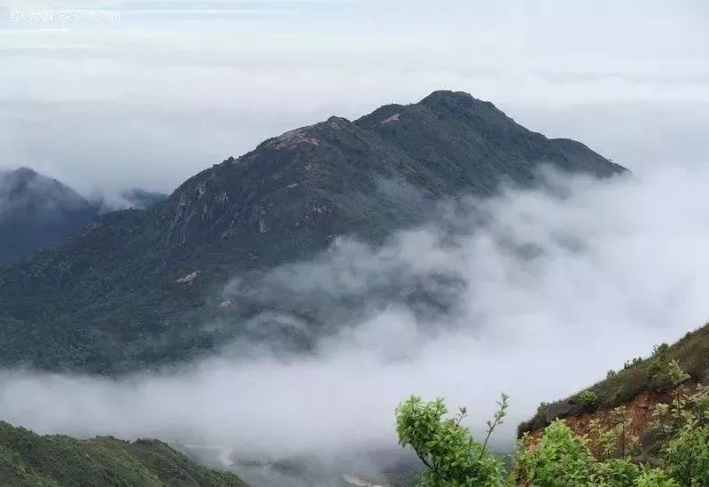 连江这座因茶亭得名的山,古道盘旋而上,红军足迹犹存.