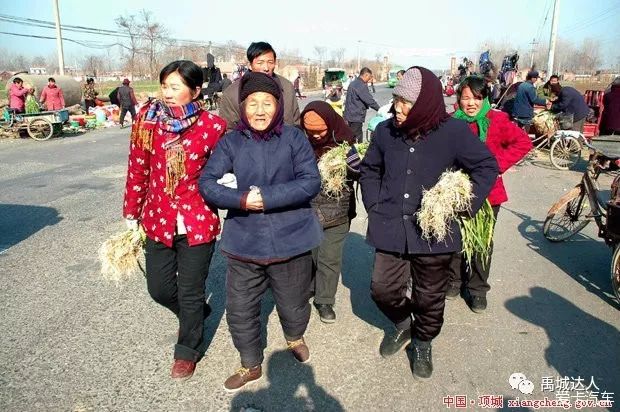 过新年赶年集禹城集市大全