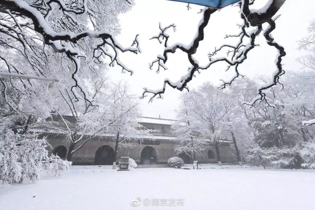 南京又下雪了,我们到紫金山看雪景去!