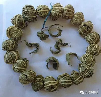 海南特产鹧鸪茶