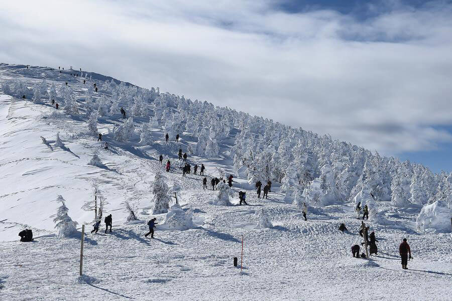 日本滑雪谈球吧体育场排名滑雪一般多少钱？(图1)