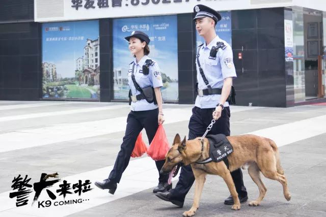 《警犬来啦》独家花絮:杨蓉专访—跟警犬搭戏有点小怕怕!