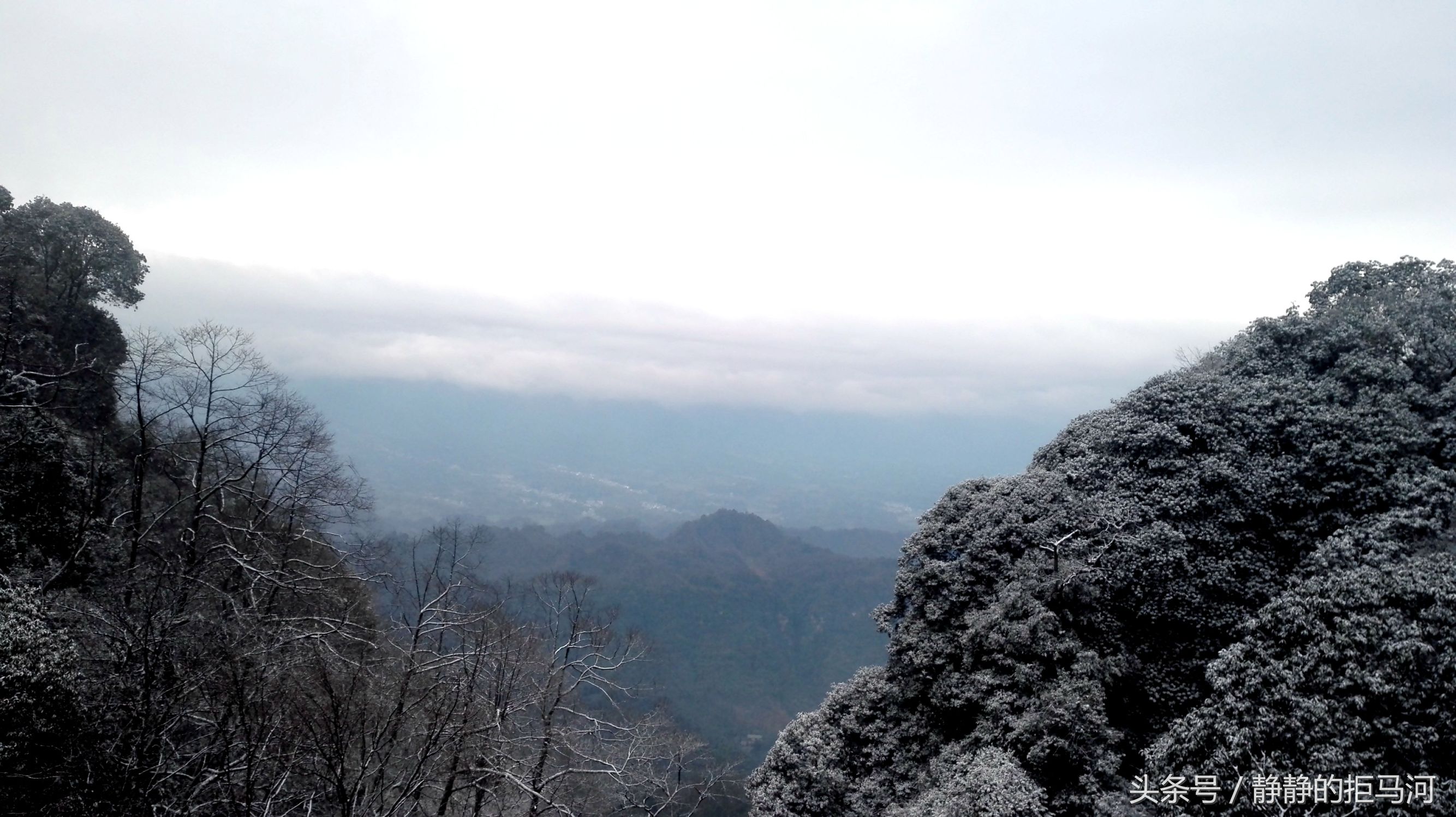 雅安名山蒙顶山上飘落2018年场雪带你去看不一样的雪景