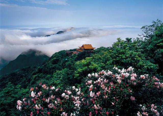 莲花山是大瑶山国家森林公园著名风景名胜区之一