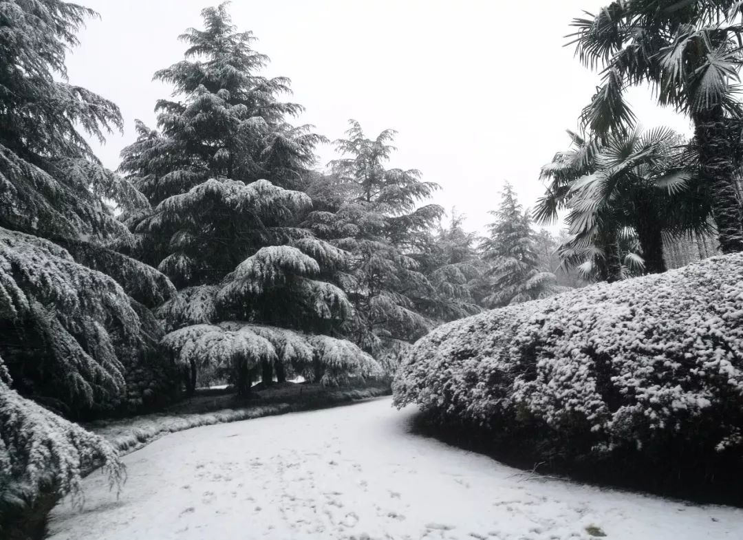 上事记霜雪吹满头