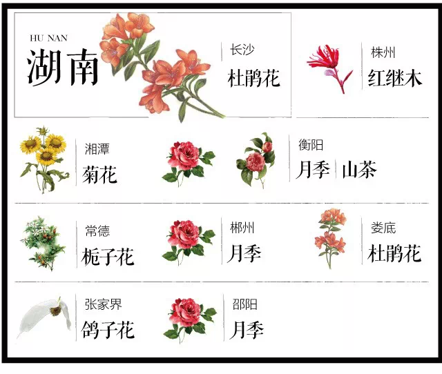 盘点史上最全中国各城市市花