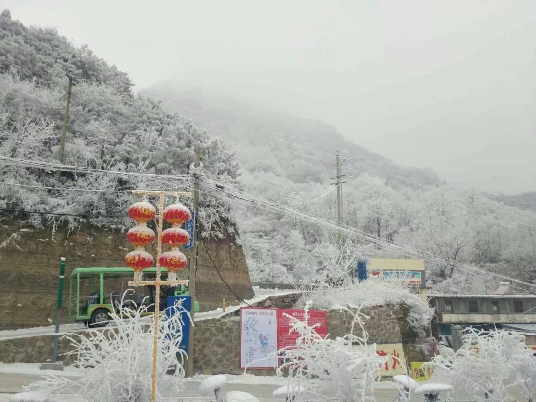 天气预报,朋友圈,都在说又要下雪了,但是,今天一天,辉县也没有见到雪