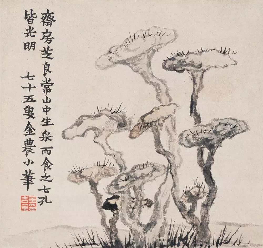 最适合入画的"十大吉祥植物,送人必知!