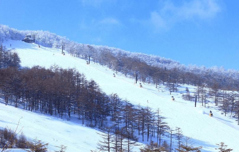 日本滑雪谈球吧体育场排名滑雪一般多少钱？(图4)