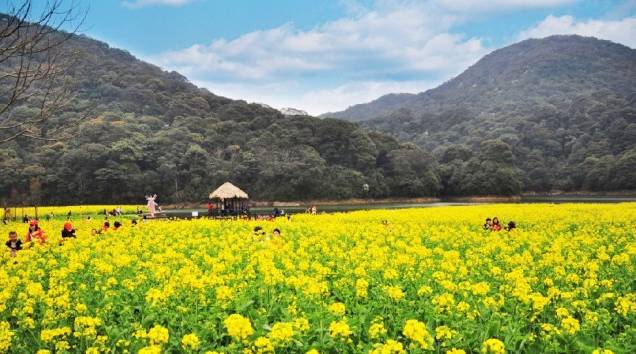 旅游 正文  交通:荔新公路-增城市区-正果方向-湖心岛 广州从化高山