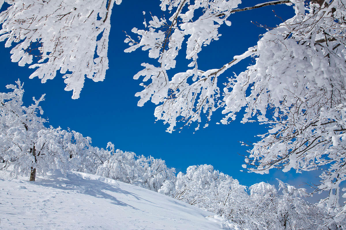 日本滑雪谈球吧体育场排名滑雪一般多少钱？(图3)