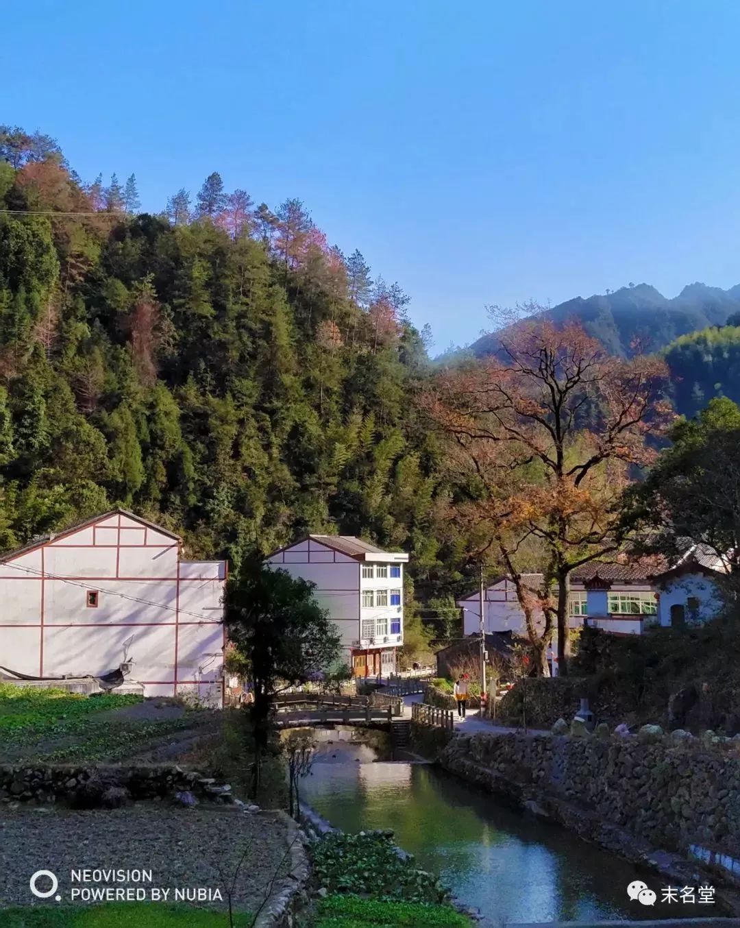 平阳这个千年古村要火了!风景这么美