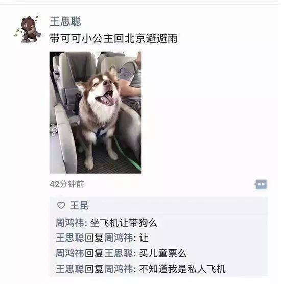 北京宠物托运公司