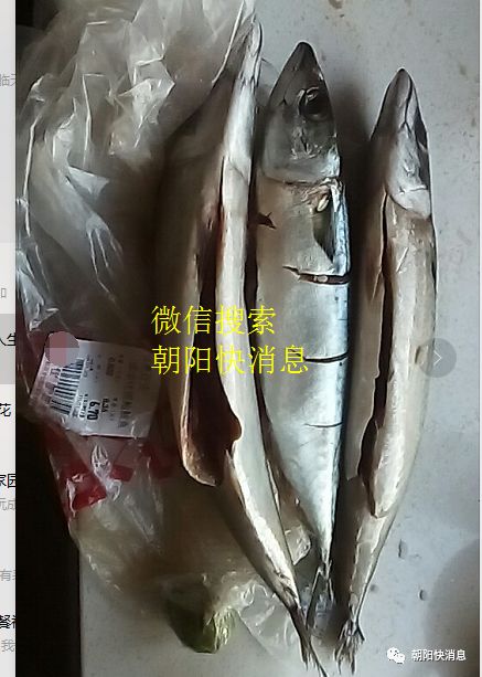 找到了类似的案例,原文如下:鲐鲅鱼体内特有的寄生虫,叫红线虫,该虫子