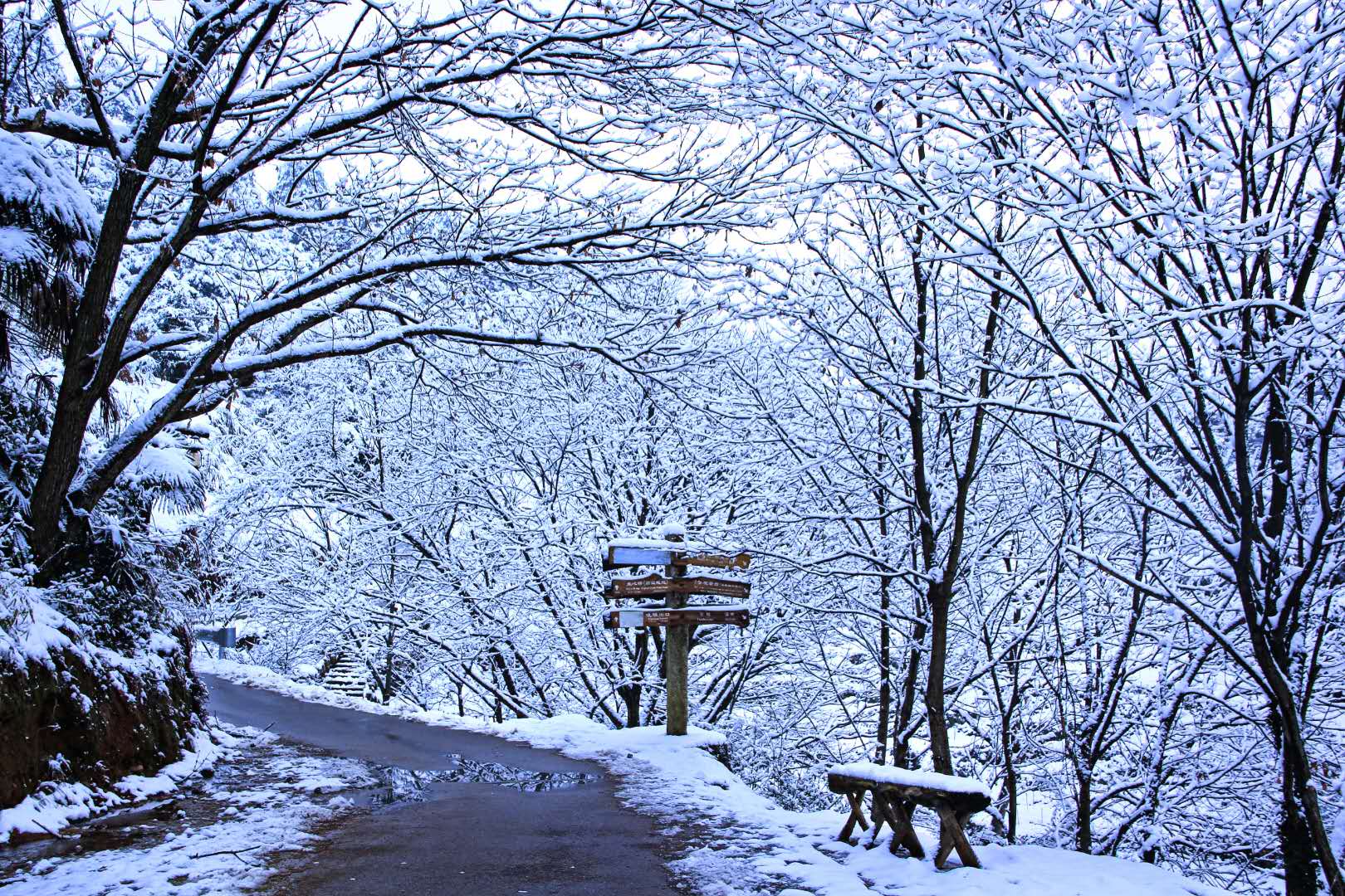 仙境!"中国最美乡村"婺源篁岭景区雪景银装素裹,宛如仙境