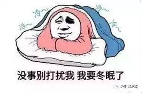 小编语  最近的天气真是冷啊! 白天的最高气温都处于零下.