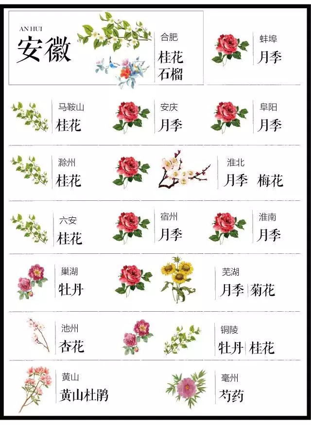 盘点史上最全中国各城市市花