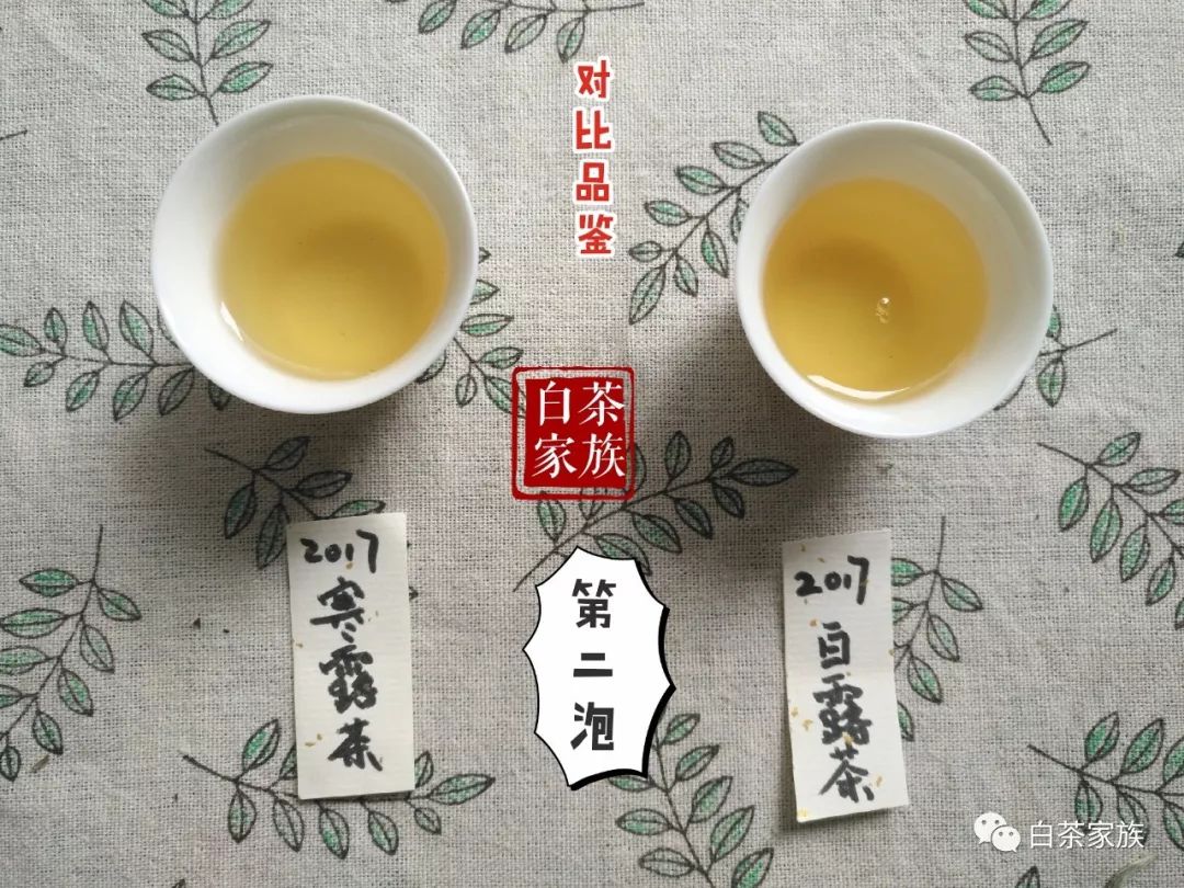 福鼎高山白茶2017白露茶与2017寒露茶的区别