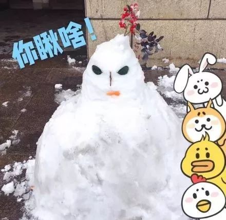 下雪了!搞笑系列齐上阵,哈哈哈