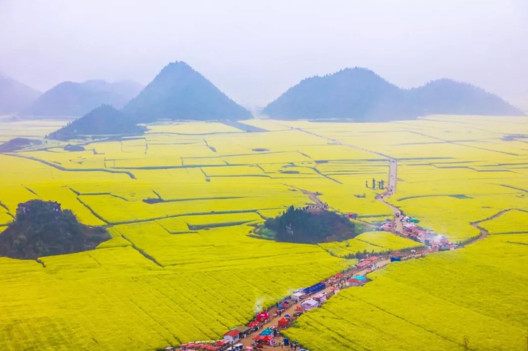 金鸡峰丛的油菜花太多太多了,根本看不过来,其中这里的大黑山是俯拍整