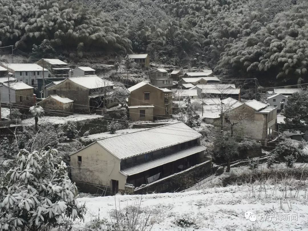 (东海云顶 供图:林海竹原(深甽 昨夜飘雪 供图:热心网友)这波雪景