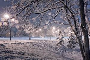 《雪景图片征集》,初雪时分,最宜拍照!