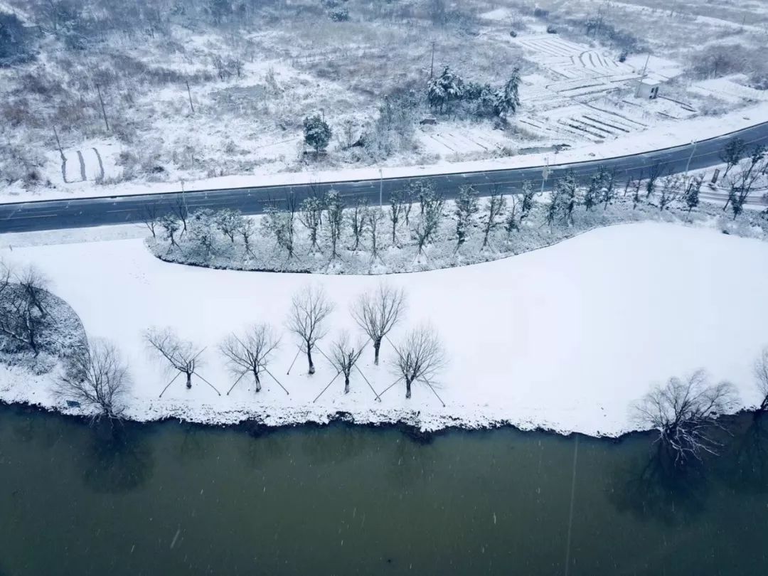 『冬日美景』下雪后的湖州美到让人惊叹,几年难得一见!