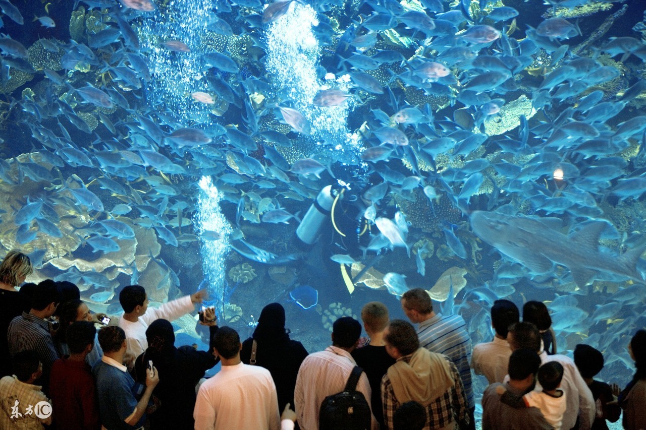 全球十个最大的水族馆，中国有两个，你去过吗？