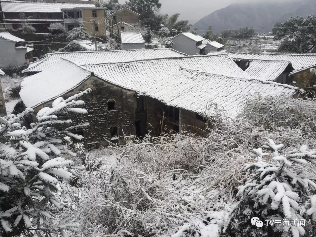 (东海云顶 供图:林海竹原(深甽 昨夜飘雪 供图:热心网友)这波雪景